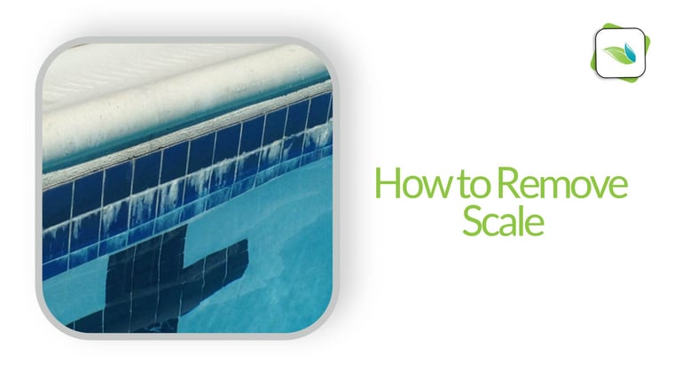 how to remove scale