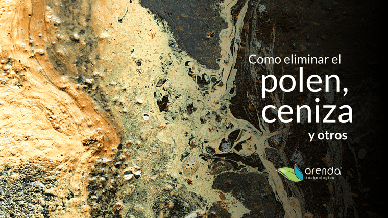 limpiando el polen de la piscina