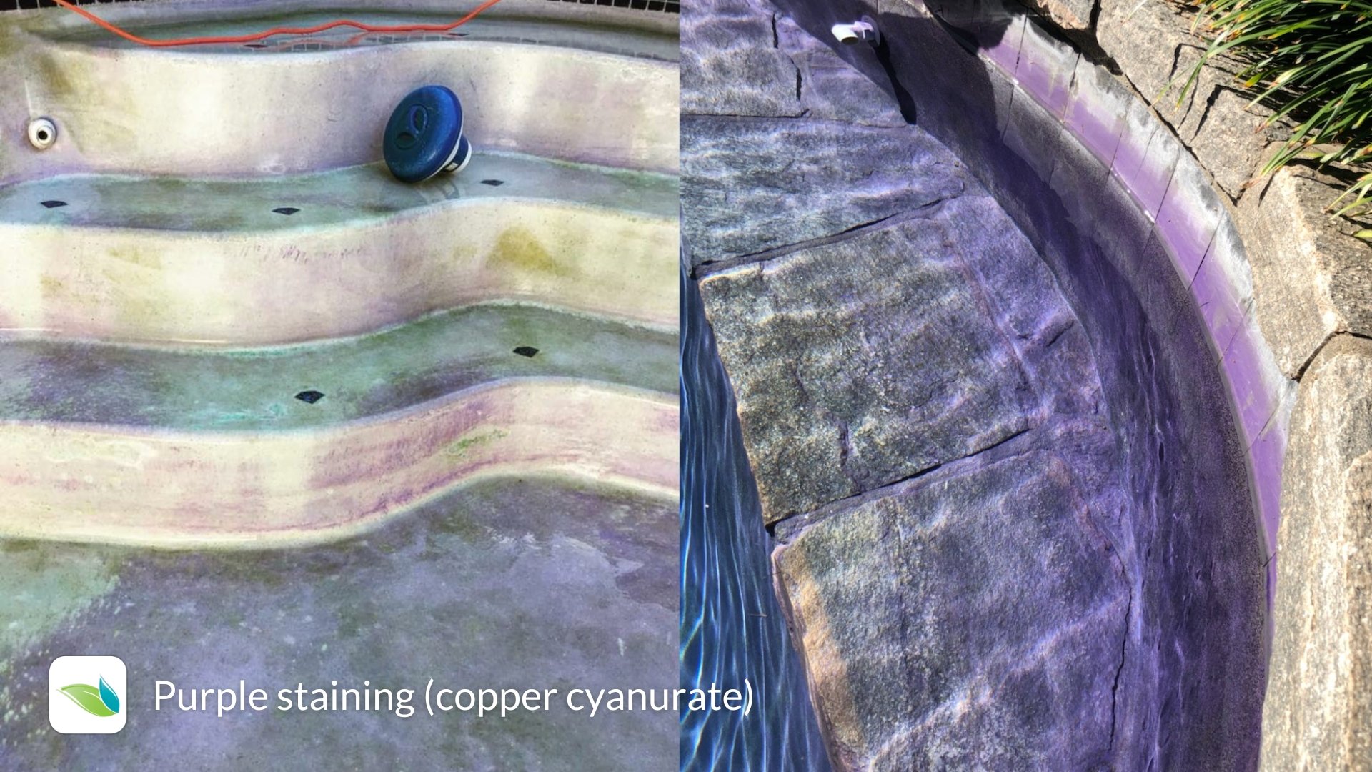 copper cyanurate staining (1)